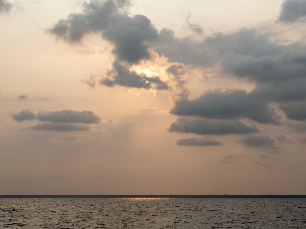 Romantic sunset view over serene lake with coconut palms